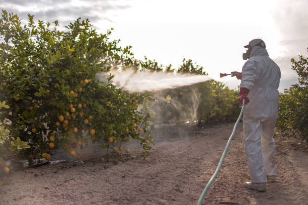 Best Rodent Control Near Me  in Ransom Canyon, TX