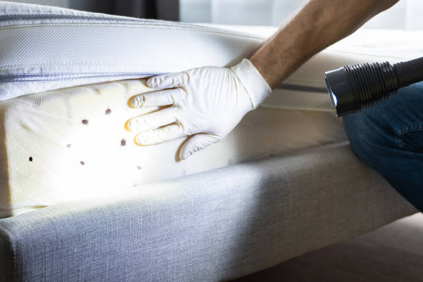 Best Wildlife Control Services  in Ransom Canyon, TX
