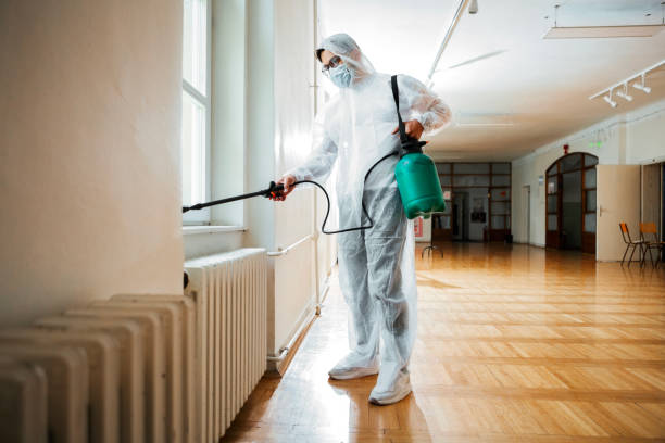 Reliable Ransom Canyon, TX Pest Control Solutions