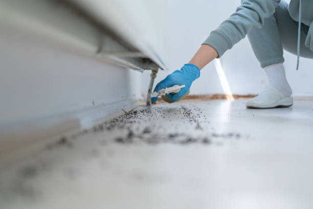 Best Mosquito Control Services  in Ransom Canyon, TX