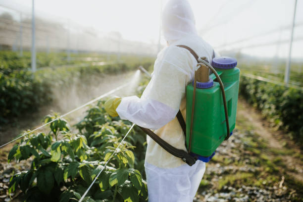 Best Flea Control Services  in Ransom Canyon, TX
